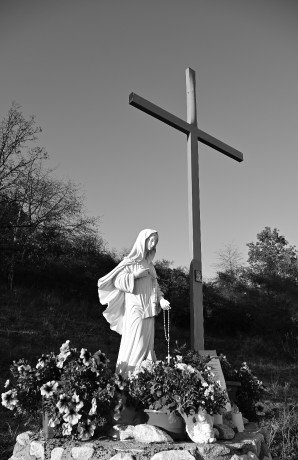 DSC_1352