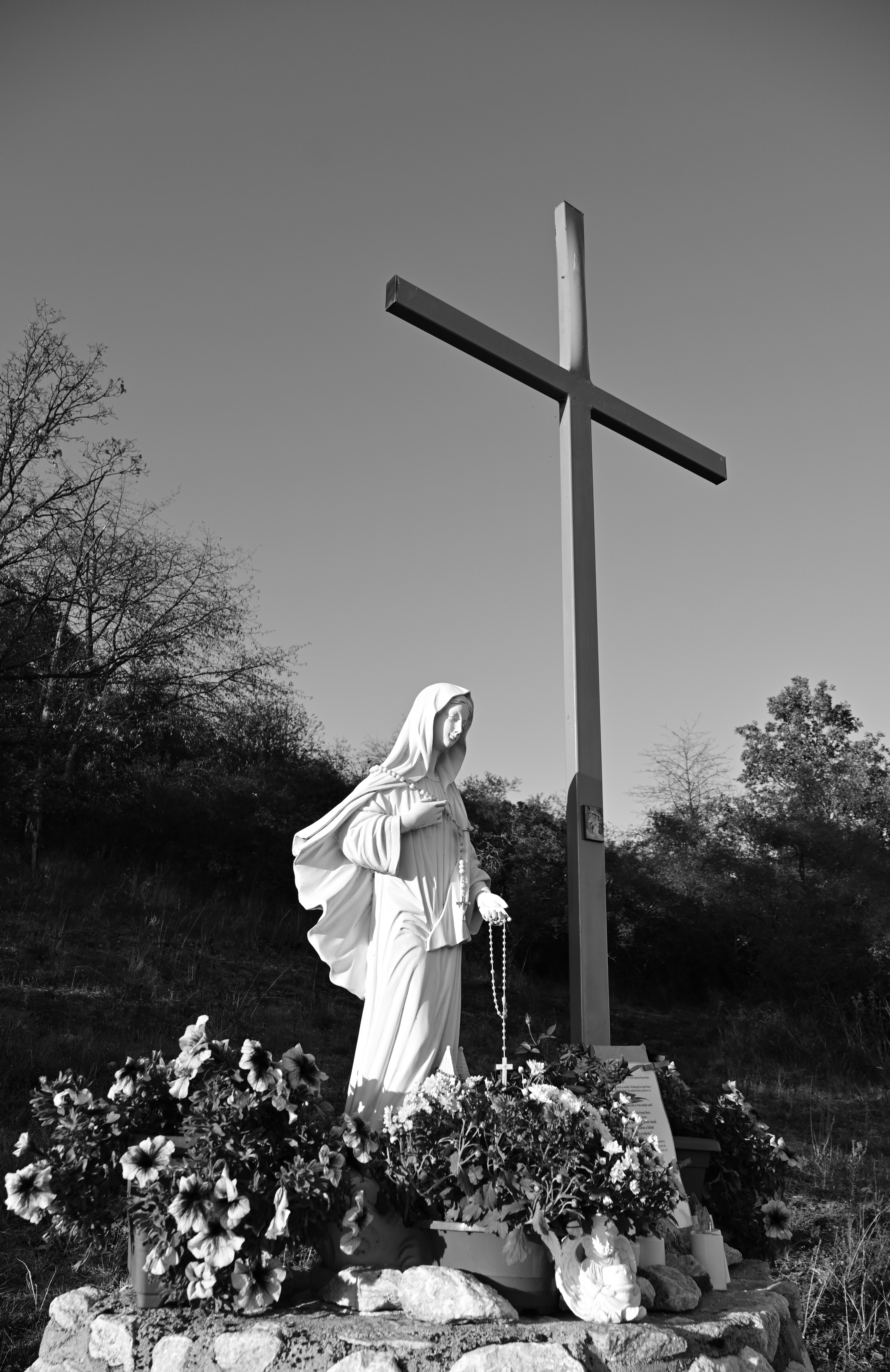 DSC_1352