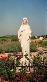 imm012_11---kopie.jpg