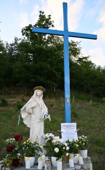 dsc_0195.jpg