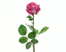 img0jna07709b094f744624358c6e82ac9a_1__6af6ab79bbb47fde7178b9df7d18abf2_z1.jpg